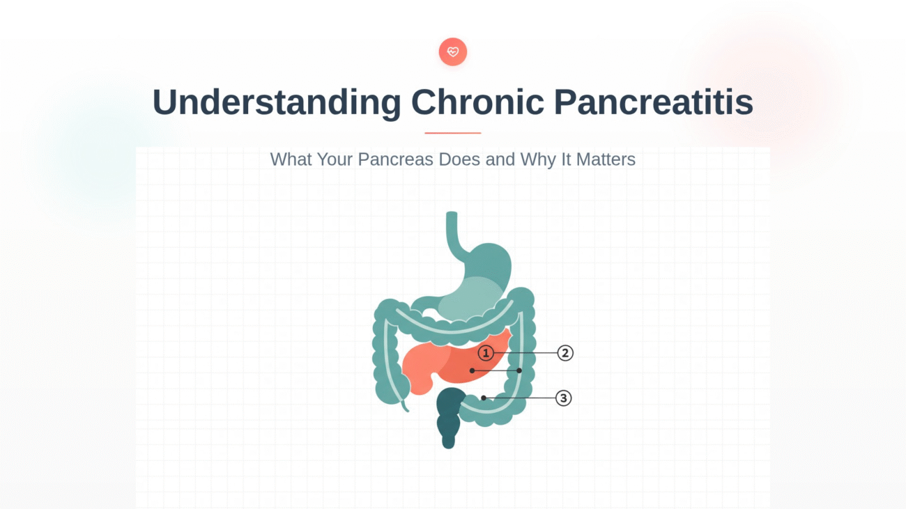 Illustration of the digestive system highlighting the pancreas in orange, used in an educational graphic about understanding chronic pancreatitis.