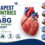 Cheapest countries for CABG heart bypass surgery featured image comparing affordable destinations with advanced cardiac care, experienced surgeons, and medical tourism services.